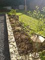 Garten1