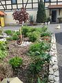 Garten2